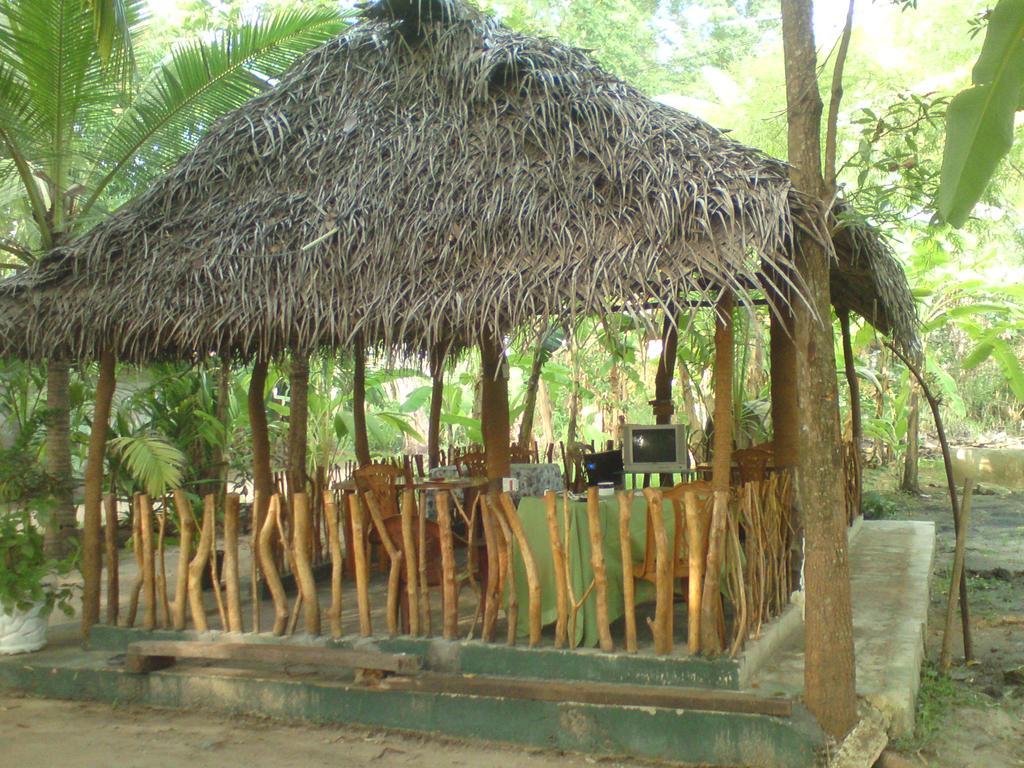 Coconut Park Bed and Breakfast Anuradhapura Eksteriør billede