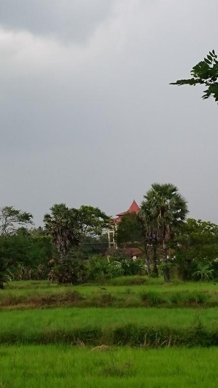 Coconut Park Bed and Breakfast Anuradhapura Eksteriør billede
