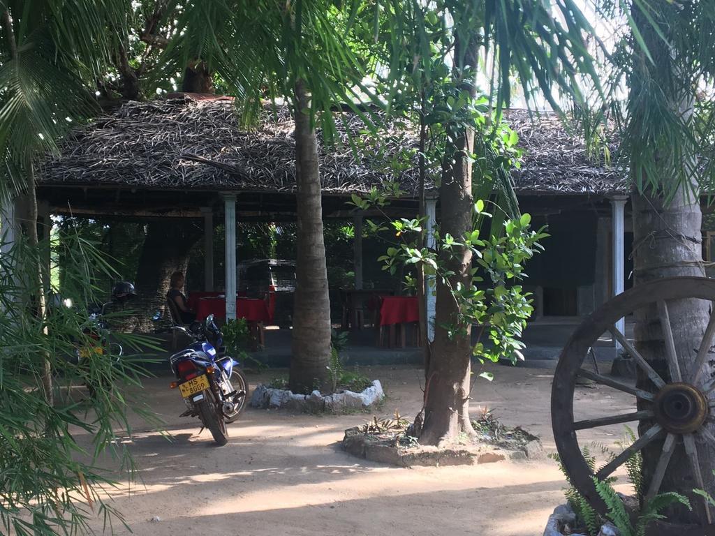Coconut Park Bed and Breakfast Anuradhapura Eksteriør billede