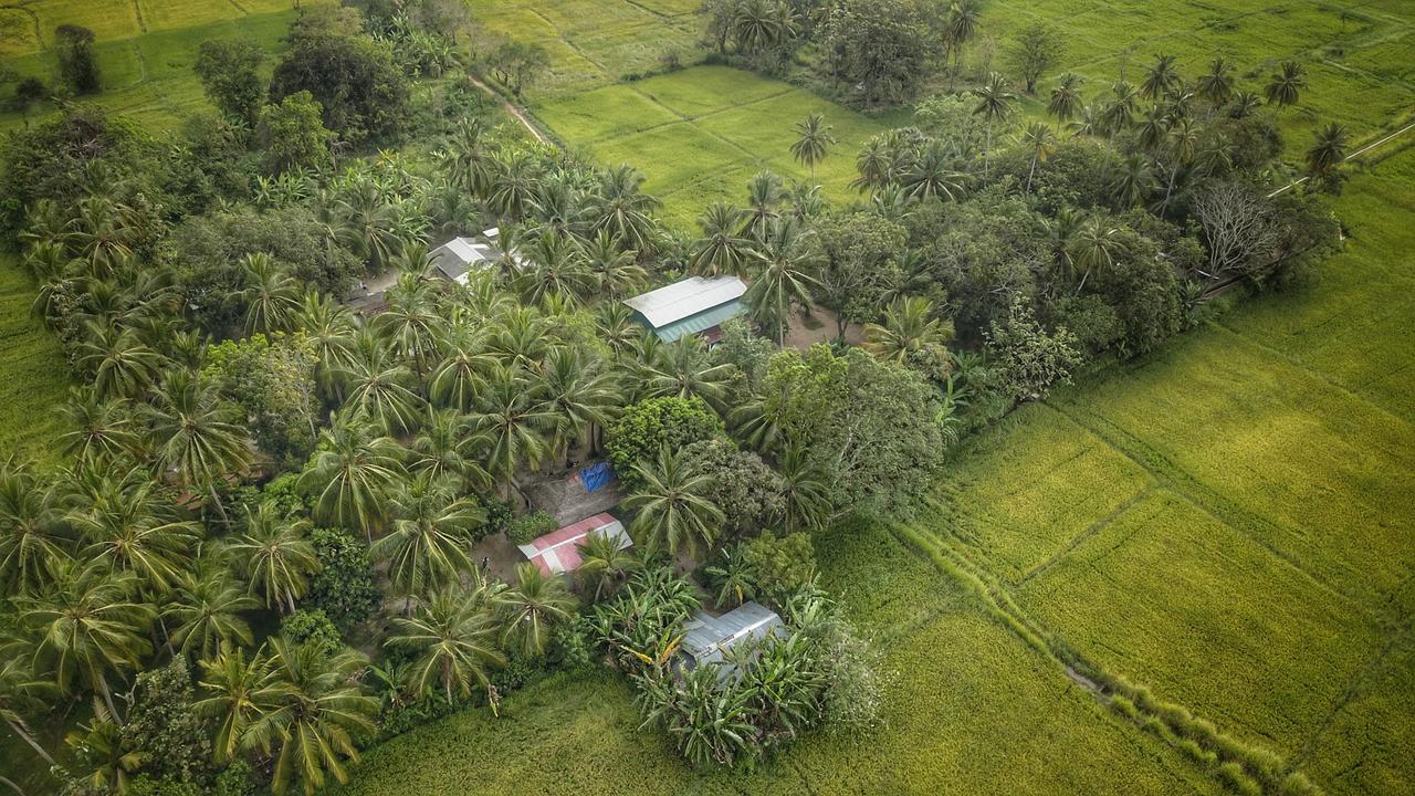 Coconut Park Bed and Breakfast Anuradhapura Eksteriør billede