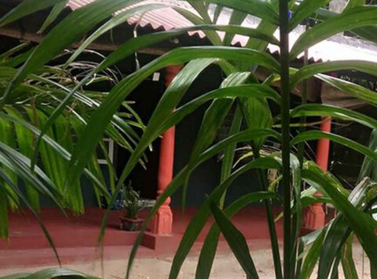 Coconut Park Bed and Breakfast Anuradhapura Eksteriør billede